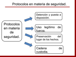 Detención y puesta a
disposición.
Uso legítimo de
fuerza.
Preservación del
lugar de los hechos.
Protocolos
en materia
de
seguridad.
Protocolos en materia de seguridad.
Cadena de
custodia.
 
