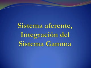 Sistema aferente, Integración del Sistema Gamma  