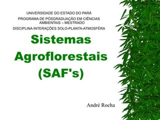 Sistemas Agroflorestais (SAF's) UNIVERSIDADE DO ESTADO DO PARÁ PROGRAMA DE PÓSGRADUAÇÃO EM CIÊNCIAS AMBIENTAIS – MESTRADO DISCIPLINA INTERAÇÕES SOLO-PLANTA-ATMOSFÉRA André Rocha 