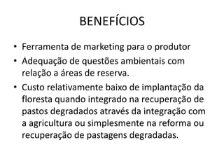 BENEFÍCIOS
• Ferramenta de marketing para o produtor
• Adequação de questões ambientais com
relação a áreas de reserva.
• Custo relativamente baixo de implantação da
floresta quando integrado na recuperação de
pastos degradados através da integração com
a agricultura ou simplesmente na reforma ou
recuperação de pastagens degradadas.
 
