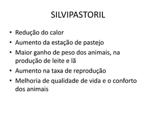 SILVIPASTORIL
• Redução do calor
• Aumento da estação de pastejo
• Maior ganho de peso dos animais, na
produção de leite e lã
• Aumento na taxa de reprodução
• Melhoria de qualidade de vida e o conforto
dos animais
 