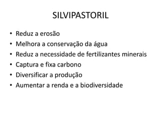 SILVIPASTORIL
• Reduz a erosão
• Melhora a conservação da água
• Reduz a necessidade de fertilizantes minerais
• Captura e fixa carbono
• Diversificar a produção
• Aumentar a renda e a biodiversidade
 