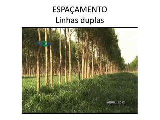 ESPAÇAMENTO
Linhas duplas
 
