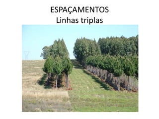 ESPAÇAMENTOS
Linhas triplas
 