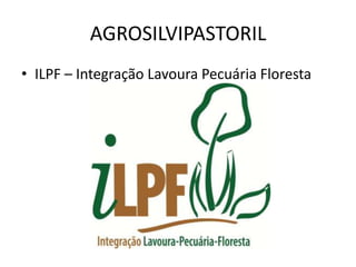AGROSILVIPASTORIL
• ILPF – Integração Lavoura Pecuária Floresta
 