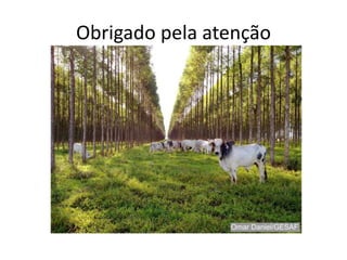 Obrigado pela atenção
 