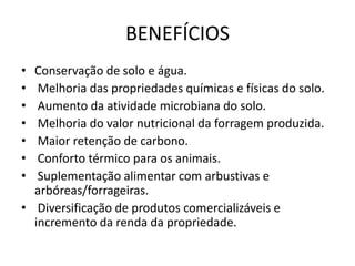 BENEFÍCIOS
• Conservação de solo e água.
• Melhoria das propriedades químicas e físicas do solo.
• Aumento da atividade microbiana do solo.
• Melhoria do valor nutricional da forragem produzida.
• Maior retenção de carbono.
• Conforto térmico para os animais.
• Suplementação alimentar com arbustivas e
arbóreas/forrageiras.
• Diversificação de produtos comercializáveis e
incremento da renda da propriedade.
 