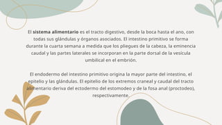 El sistema alimentario es el tracto digestivo, desde la boca hasta el ano, con
todas sus glándulas y órganos asociados. El intestino primitivo se forma
durante la cuarta semana a medida que los pliegues de la cabeza, la eminencia
caudal y las partes laterales se incorporan en la parte dorsal de la vesícula
umbilical en el embrión.
El endodermo del intestino primitivo origina la mayor parte del intestino, el
epitelio y las glándulas. El epitelio de los extremos craneal y caudal del tracto
alimentario deriva del ectodermo del estomodeo y de la fosa anal (proctodeo),
respectivamente.
 
