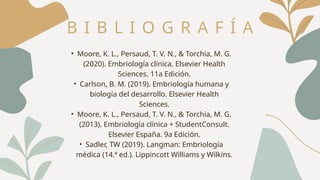 B I B L I O G R A F Í A
• Moore, K. L., Persaud, T. V. N., & Torchia, M. G.
(2020). Embriología clínica. Elsevier Health
Sciences. 11a Edición.
• Carlson, B. M. (2019). Embriología humana y
biología del desarrollo. Elsevier Health
Sciences.
• Moore, K. L., Persaud, T. V. N., & Torchia, M. G.
(2013). Embriología clínica + StudentConsult.
Elsevier España. 9a Edición.
• Sadler, TW (2019). Langman: Embriología
médica (14.ª ed.). Lippincott Williams y Wilkins.
 