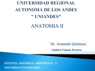 ANATOMIA II
Dr. Armando Quintana.
SISTEMA ARTERIAL ABDOMINAL Y
MIEMBROS INFERIORES
Andrea Vizuete Pereira
 