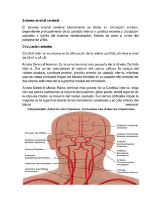 Sistema arterial cerebral
El sistema arterial cerebral básicamente se divide en circulación anterior,
dependiente principalmente de la carótida interna y carótida externa y circulación
posterior a través del sistema vertebrobasilar. Ambas se unen a través del
polígono de Willis.
Circulación anterior
Carótida interna: se origina en la bifurcación de la arteria carótida primitiva a nivel
de c3-c4 o c4-c5.
Arteria Cerebral Anterior: Es la rama terminal más pequeña de la Arteria Carótida
interna. Sus ramas vascularizan el rostrum del cuerpo calloso, la cabeza del
núcleo caudado, comisura anterior, porción anterior de cápsula interna; mientras
que las ramas corticales irrigan los lóbulos frontales en su porción inferomedial, los
dos tercios anteriores de la superficie medial del hemisferio.
Arteria Cerebral Media: Rama terminal más grande de la Carótida Interna. Irriga
con sus ramas perforantes la mayoría del putamen, globo pálido, mitad superior de
la cápsula interna, la mayoría del núcleo caudado. Sus ramas corticales irrigan la
mayoría de la superficie lateral de los hemisferios cerebrales y el polo anterior del
lóbulo temporal.
 