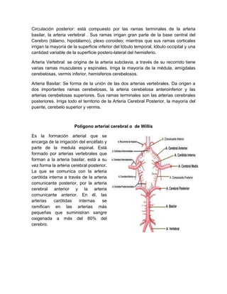 Circulación posterior: está compuesto por las ramas terminales de la arteria
basilar, la arteria vertebral . Sus ramas irrigan gran parte de la base central del
Cerebro (tálamo, hipotálamo), plexo coroideo; mientras que sus ramas corticales
irrigan la mayoría de la superficie inferior del lóbulo temporal, lóbulo occipital y una
cantidad variable de la superficie postero-lateral del hemisferio.
Arteria Vertebral: se origina de la arteria subclavia, a través de su recorrido tiene
varias ramas musculares y espinales. Irriga la mayoría de la médula, amígdalas
cerebelosas, vermis inferior, hemisferios cerebelosos.
Arteria Basilar: Se forma de la unión de las dos arterias vertebrales. Da origen a
dos importantes ramas cerebelosas, la arteria cerebelosa anteroinferior y las
arterias cerebelosas superiores. Sus ramas terminales son las arterias cerebrales
posteriores. Irriga todo el territorio de la Arteria Cerebral Posterior, la mayoría del
puente, cerebelo superior y vermis.
Polígono arterial cerebral o de Willis
Es la formación arterial que se
encarga de la irrigación del encéfalo y
parte de la medula espinal. Está
formado por arterias vertebrales que
forman a la arteria basilar, está a su
vez forma la arteria cerebral posterior.
La que se comunica con la arteria
carótida interna a través de la arteria
comunicante posterior, por la arteria
cerebral anterior y la arteria
comunicante anterior. En él, las
arterias carótidas internas se
ramifican en las arterias más
pequeñas que suministran sangre
oxigenada a más del 80% del
cerebro.
 