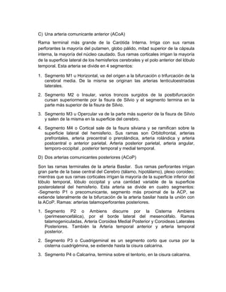 C) Una arteria comunicante anterior (ACoA)
Rama terminal más grande de la Carótida Interna. Irriga con sus ramas
perforantes la mayoría del putamen, globo pálido, mitad superior de la cápsula
interna, la mayoría del núcleo caudado. Sus ramas corticales irrigan la mayoría
de la superficie lateral de los hemisferios cerebrales y el polo anterior del lóbulo
temporal. Esta arteria se divide en 4 segmentos:
1. Segmento M1 u Horizontal, va del origen a la bifurcación o trifurcación de la
cerebral media. De la misma se originan las arterias lenticuloestriadas
laterales.
2. Segmento M2 o Insular, varios troncos surgidos de la postbifurcación
cursan superiormente por la fisura de Silvio y el segmento termina en la
parte más superior de la fisura de Silvio.
3. Segmento M3 u Opercular va de la parte más superior de la fisura de Silvio
y salen de la misma en la superficie del cerebro.
4. Segmento M4 o Cortical sale de la fisura silviana y se ramifican sobre la
superficie lateral del hemisferio. Sus ramas son Orbitofrontal, arterias
prefrontales, arteria precentral o prerolándica, arteria rolándica y arteria
postcentral o anterior parietal. Arteria posterior parietal, arteria angular,
temporo-occipital , posterior temporal y medial temporal.
D) Dos arterias comunicantes posteriores (ACoP)
Son las ramas terminales de la arteria Basilar. Sus ramas perforantes irrigan
gran parte de la base central del Cerebro (tálamo, hipotálamo), plexo coroideo;
mientras que sus ramas corticales irrigan la mayoría de la superficie inferior del
lóbulo temporal, lóbulo occipital y una cantidad variable de la superficie
posterolateral del hemisferio. Esta arteria se divide en cuatro segmentos:
-Segmento P1 o precomunicante, segmento más proximal de la ACP, se
extiende lateralmente de la bifurcación de la arteria basilar hasta la unión con
la ACoP. Ramas: arterias talamoperforantes posteriores.
1. Segmento P2 o Ambiens discurre por la Cisterna Ambiens
(perimesencefálica), por el borde lateral del mesencéfalo. Ramas
talamogeniculadas, Arteria Coroidea Medial Posterior y Coroideas Laterales
Posteriores. También la Arteria temporal anterior y arteria temporal
posterior.
2. Segmento P3 o Cuadrigeminal es un segmento corto que cursa por la
cisterna cuadrigémina, se extiende hasta la cisura calcarina.
3. Segmento P4 o Calcarina, termina sobre el tentorio, en la cisura calcarina.
 