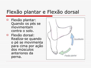 Flexão plantar e Flexão dorsal Flexão plantar: Quando os pés se movimentam contra o solo. Flexão dorsal: Realiza-se quando o pé se movimenta para cima por ação dos músculos anteriores da perna.  