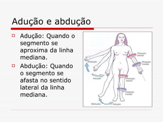 Adução e abdução Adução: Quando o segmento se aproxima da linha mediana. Abdução: Quando o segmento se afasta no sentido lateral da linha mediana. 