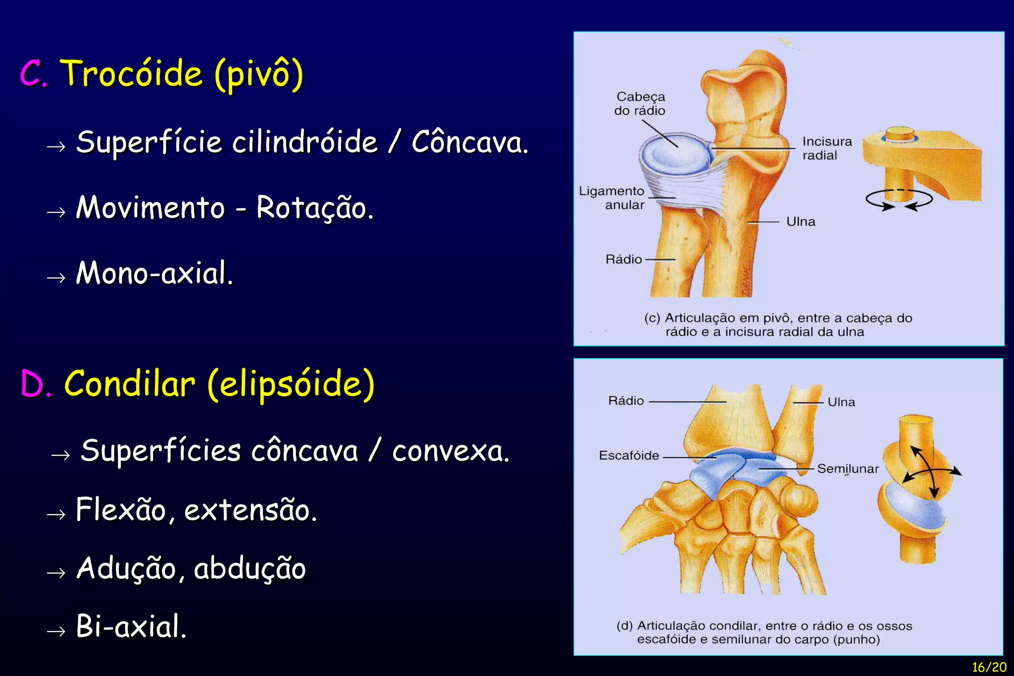 C.   Trocóide (pivô)    Superfície cilindróide / Côncava.    Movimento - Rotação.    Mono-axial. D.  Condilar (elipsóide)    Superfícies côncava / convexa.    Flexão, extensão.    Adução, abdução    Bi-axial. 16/20 