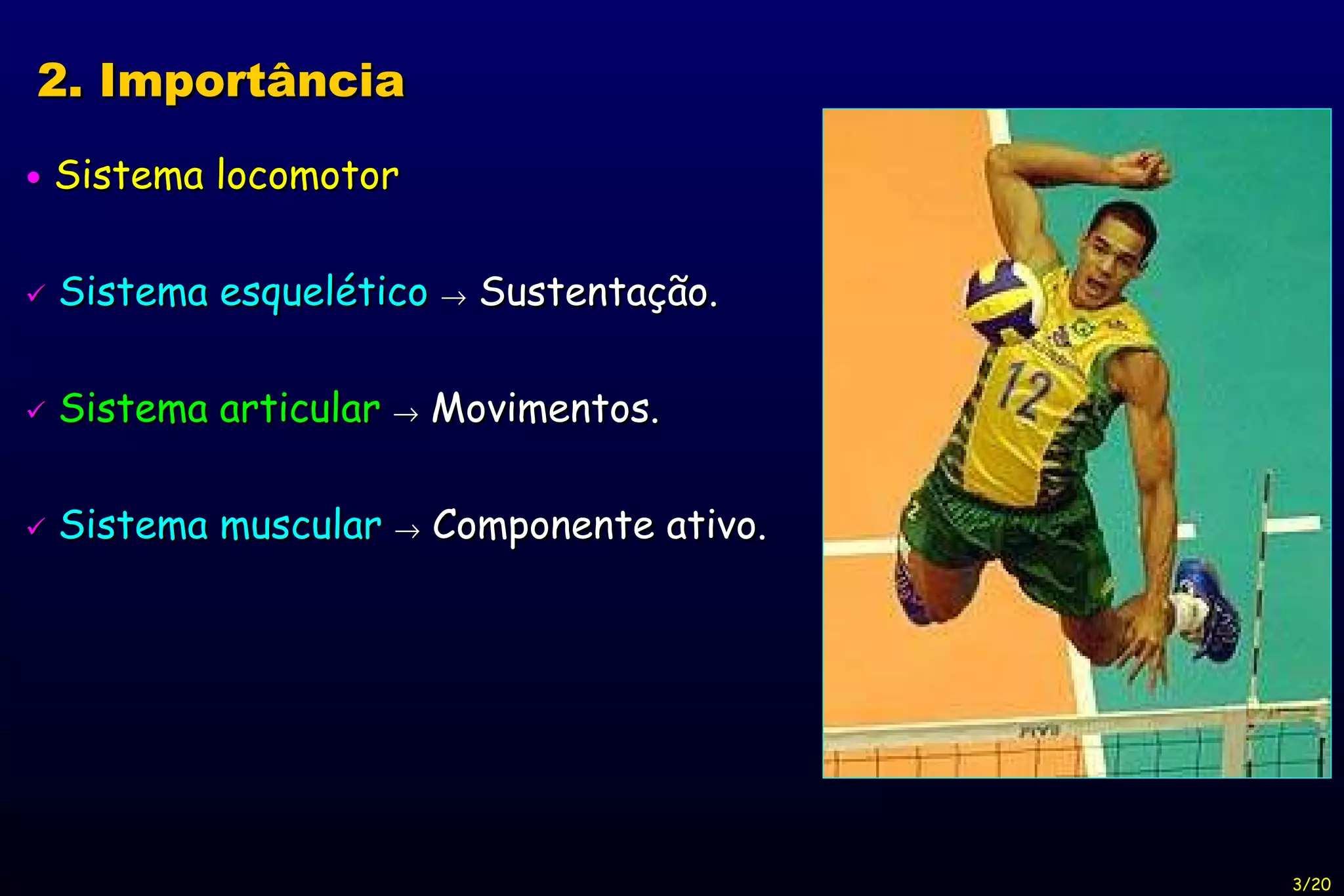    Sistema locomotor    Sistema esquelético     Sustentação.    Sistema articular     Movimentos.    Sistema muscular     Componente ativo. 2. Importância 3/20 