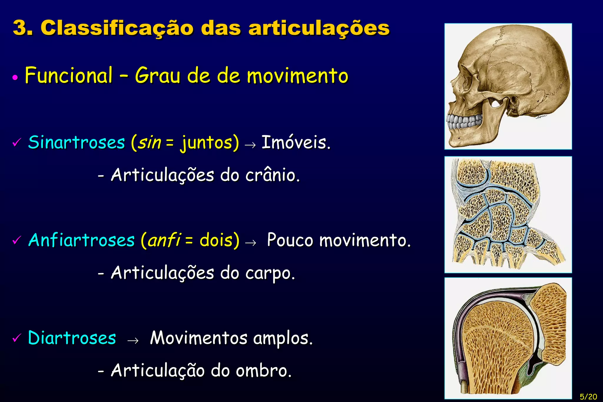    Funcional – Grau de de movimento    Sinartroses  ( sin  = juntos)    Imóveis. - Articulações do crânio.    Anfiartroses  ( anfi  = dois)     Pouco movimento. - Articulações do carpo.    Diartroses      Movimentos amplos. - Articulação do ombro.  3. Classificação das articulações 5/20 