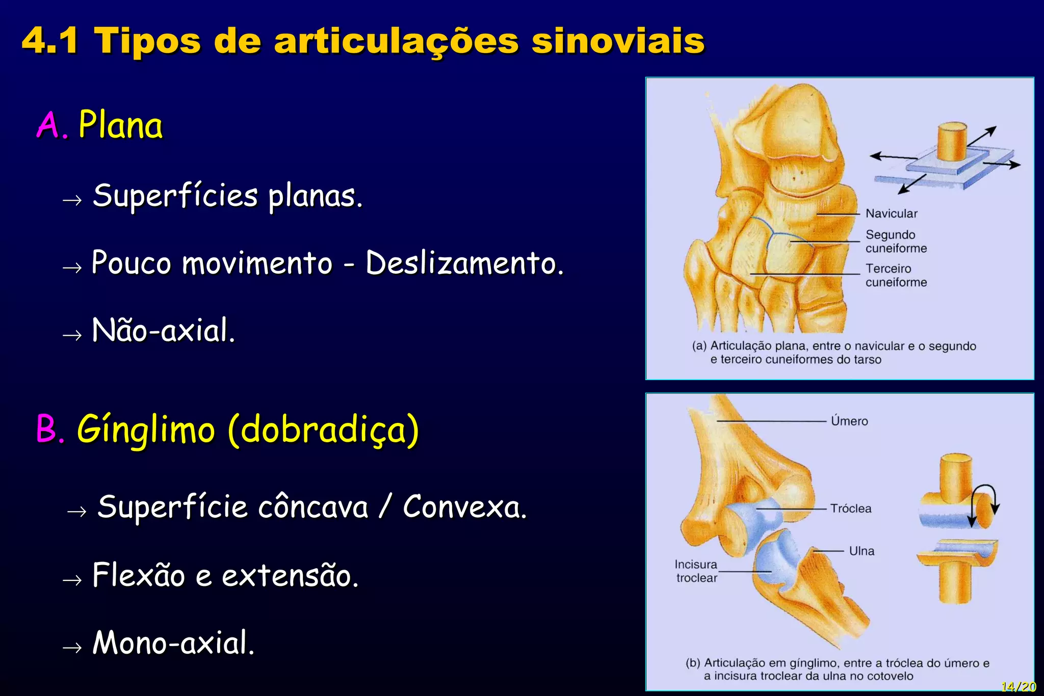 A.   Plana    Superfícies planas.    Pouco movimento - Deslizamento.    Não-axial. B.  Gínglimo (dobradiça)    Superfície côncava / Convexa.    Flexão e extensão.    Mono-axial. 4.1 Tipos de articulações sinoviais 14/20 