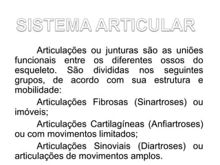 Articulações ou junturas são as uniões
funcionais entre os diferentes ossos do
esqueleto. São divididas nos seguintes
grupos, de acordo com sua estrutura e
mobilidade:
Articulações Fibrosas (Sinartroses) ou
imóveis;
Articulações Cartilagíneas (Anfiartroses)
ou com movimentos limitados;
Articulações Sinoviais (Diartroses) ou
articulações de movimentos amplos.