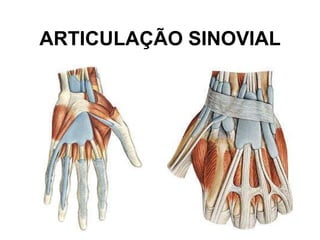 ARTICULAÇÃO SINOVIAL