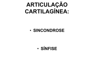 ARTICULAÇÃO
CARTILAGÍNEA:
• SINCONDROSE
• SÍNFISE