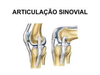 ARTICULAÇÃO SINOVIAL
