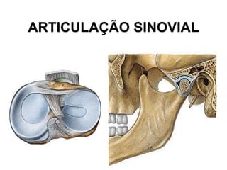 ARTICULAÇÃO SINOVIAL