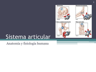 1

Sistema articular
Anatomía y fisiología humana

 