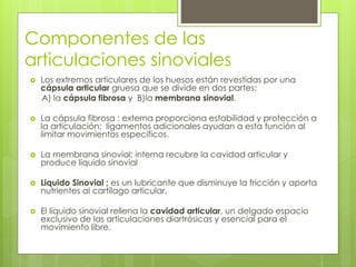 Componentes de las
articulaciones sinoviales
 Los extremos articulares de los huesos están revestidas por una
cápsula articular gruesa que se divide en dos partes:
A) la cápsula fibrosa y B)la membrana sinovial.
 La cápsula fibrosa : externa proporciona estabilidad y protección a
la articulación; ligamentos adicionales ayudan a esta función al
limitar movimientos específicos.
 La membrana sinovial; interna recubre la cavidad articular y
produce líquido sinovial
 Liquido Sinovial ; es un lubricante que disminuye la fricción y aporta
nutrientes al cartílago articular.
 El líquido sinovial rellena la cavidad articular, un delgado espacio
exclusivo de las articulaciones diartrósicas y esencial para el
movimiento libre.
 