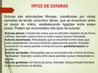 TIPOS DE SUTURAS
Suturas são articulações fibrosas, constituídas por várias
camadas de tecido conjuntivo denso, que se encontram entre
os ossos do crânio, estabelecendo ligações entre esses
ossos. Podem ser encontrados três tipos de suturas:
Suturas planas: A borda dos ossos que se articulam dispõem-se de forma
retilínea. Exemplo: sutura entre os ossos nasais (sutura internasal)
Suturas escamosas: Articulações que se encontram entre ossos que
juntos estabelecem um encurvamento relativamente grande. Exemplo:
sutura entre os ossos parietal e temporal (sutura parietotemporal ou
escamosa)
Suturas serreadas: Articulações que se encontram sob a forma de linhas
"denteadas". Exemplo: sutura entre ossos parietais (sutura interparietal ou
sagital)
Suturas gonfoses: em forma de pinos. Exemplo: Sutura Alvéolo-Dentária
(a sutura que forma os dentes)
 
