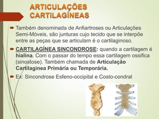  Também denominada de Anfiartroses ou Articulações
Semi-Móveis, são junturas cujo tecido que se interpõe
entre as peças que se articulam é o cartilaginoso.
 CARTILAGÍNEA SINCONDROSE: quando a cartilagem é
hialina. Com o passar do tempo essa cartilagem ossifica
(sinostose). Também chamada de Articulação
Cartilagínea Primária ou Temporária.
 Ex: Sincondrose Esfeno-occipital e Costo-condral
 