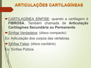 CARTILAGÍNEA SÍNFISE: quando a cartilagem é
FIBROSA. Também chamada de Articulação
Cartilagínea Secundária ou Permanente.
Sínfise Verdadeira: (disco compacto)
Ex: Articulação dos corpos das vértebras.
Sínfise Falsa: (disco cavitário)
Ex: Sínfise Púbica
 