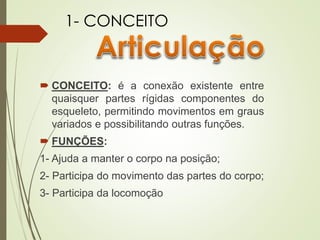  CONCEITO: é a conexão existente entre
quaisquer partes rígidas componentes do
esqueleto, permitindo movimentos em graus
variados e possibilitando outras funções.
 FUNÇÕES:
1- Ajuda a manter o corpo na posição;
2- Participa do movimento das partes do corpo;
3- Participa da locomoção
1- CONCEITO
 