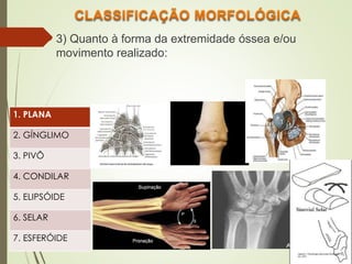  3) Quanto à forma da extremidade óssea e/ou
movimento realizado:
1. PLANA
2. GÍNGLIMO
3. PIVÔ
4. CONDILAR
5. ELIPSÓIDE
6. SELAR
7. ESFERÓIDE
 