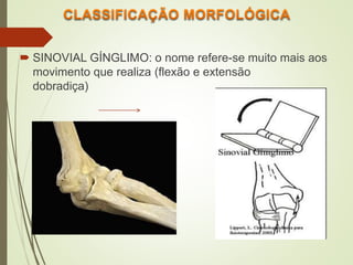  SINOVIAL GÍNGLIMO: o nome refere-se muito mais aos
movimento que realiza (flexão e extensão
dobradiça)
 