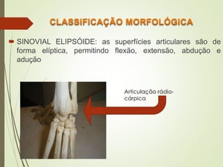  SINOVIAL ELIPSÓIDE: as superfícies articulares são de
forma elíptica, permitindo flexão, extensão, abdução e
adução
Articulação rádio-
cárpica
 