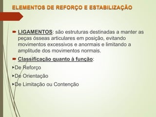  LIGAMENTOS: são estruturas destinadas a manter as
peças ósseas articulares em posição, evitando
movimentos excessivos e anormais e limitando a
amplitude dos movimentos normais.
 Classificação quanto à função:
▶De Reforço
▶De Orientação
▶De Limitação ou Contenção
 