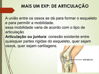 A união entre os ossos se dá para formar o esqueleto
e para permitir a mobilidade.
essa mobilidade varia de acordo com o tipo de
articulação
Articulação ou juntura: conexão existente entre
quaisquer partes rígidas do esqueleto, quer sejam
ossos, quer sejam cartilagens.
MAIS UM EXP: DE ARTICULAÇÃO
 