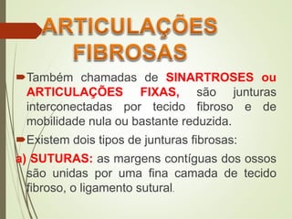 Também chamadas de SINARTROSES ou
ARTICULAÇÕES FIXAS, são junturas
interconectadas por tecido fibroso e de
mobilidade nula ou bastante reduzida.
Existem dois tipos de junturas fibrosas:
a) SUTURAS: as margens contíguas dos ossos
são unidas por uma fina camada de tecido
fibroso, o ligamento sutural.
 