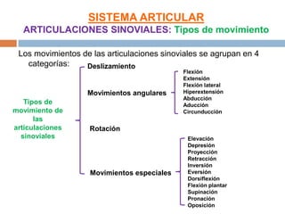 SISTEMA ARTICULAR
  ARTICULACIONES SINOVIALES: Tipos de movimiento

 Los movimientos de las articulaciones sinoviales se agrupan en 4
   categorías:    Deslizamiento
                                             Flexión
                                             Extensión
                                             Flexión lateral
                   Movimientos angulares     Hiperextensión
                                             Abducción
   Tipos de                                  Aducción
movimiento de                                Circunducción
      las
articulaciones     Rotación
  sinoviales                                  Elevación
                                              Depresión
                                              Proyección
                                              Retracción
                                              Inversión
                    Movimientos especiales    Eversión
                                              Dorsiflexión
                                              Flexión plantar
                                              Supinación
                                              Pronación
                                              Oposición
 
