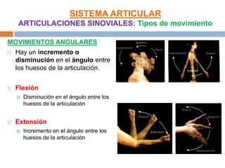 SISTEMA ARTICULAR
    ARTICULACIONES SINOVIALES: Tipos de movimiento

MOVIMIENTOS ANGULARES
   Hay un incremento o
    disminución en el ángulo entre
    los huesos de la articulación.


   Flexión
       Disminución en el ángulo entre los
        huesos de la articulación


   Extensión
       Incremento en el ángulo entre los
        huesos de la articulación
 