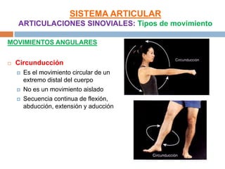 SISTEMA ARTICULAR
    ARTICULACIONES SINOVIALES: Tipos de movimiento

MOVIMIENTOS ANGULARES


   Circunducción
       Es el movimiento circular de un
        extremo distal del cuerpo
       No es un movimiento aislado
       Secuencia continua de flexión,
        abducción, extensión y aducción
 