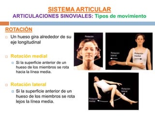 SISTEMA ARTICULAR
    ARTICULACIONES SINOVIALES: Tipos de movimiento

ROTACIÓN
   Un hueso gira alrededor de su
    eje longitudinal


   Rotación medial
       Si la superficie anterior de un
        hueso de los miembros se rota
        hacia la línea media.


   Rotación lateral
       Si la superficie anterior de un
        hueso de los miembros se rota
        lejos la línea media.
 