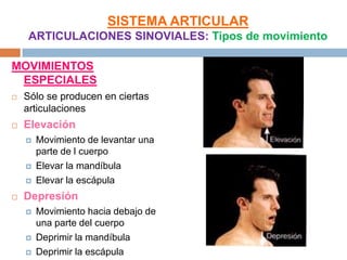 SISTEMA ARTICULAR
    ARTICULACIONES SINOVIALES: Tipos de movimiento

MOVIMIENTOS
 ESPECIALES
   Sólo se producen en ciertas
    articulaciones
   Elevación
       Movimiento de levantar una
        parte de l cuerpo
       Elevar la mandíbula
       Elevar la escápula
   Depresión
       Movimiento hacia debajo de
        una parte del cuerpo
       Deprimir la mandíbula
       Deprimir la escápula
 