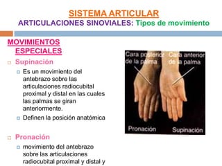 SISTEMA ARTICULAR
    ARTICULACIONES SINOVIALES: Tipos de movimiento

MOVIMIENTOS
  ESPECIALES
 Supinación

       Es un movimiento del
        antebrazo sobre las
        articulaciones radiocubital
        proximal y distal en las cuales
        las palmas se giran
        anteriormente.
       Definen la posición anatómica


   Pronación
       movimiento del antebrazo
        sobre las articulaciones
        radiocubital proximal y distal y
 