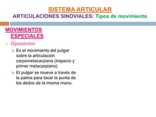 SISTEMA ARTICULAR
  ARTICULACIONES SINOVIALES: Tipos de movimiento

MOVIMIENTOS
  ESPECIALES
 Oposición

    Es el movimiento del pulgar
     sobre la articulación
     carpometacarpiana (trapecio y
     primer metacarpiano)
    El pulgar se mueve a través de
     la palma para tocar la punta de
     los dedos de la misma mano.
 