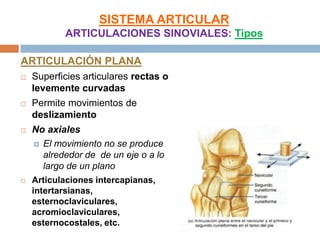 SISTEMA ARTICULAR
           ARTICULACIONES SINOVIALES: Tipos

ARTICULACIÓN PLANA
   Superficies articulares rectas o
    levemente curvadas
   Permite movimientos de
    deslizamiento
   No axiales
     El movimiento no se produce
      alrededor de de un eje o a lo
      largo de un plano
   Articulaciones intercapianas,
    intertarsianas,
    esternoclaviculares,
    acromioclaviculares,
    esternocostales, etc.
 