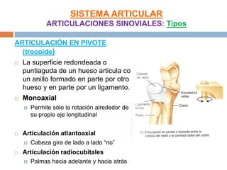 SISTEMA ARTICULAR
             ARTICULACIONES SINOVIALES: Tipos

ARTICULACIÓN EN PIVOTE
  (trocoide)
   La superficie redondeada o
    puntiaguda de un hueso articula con
    un anillo formado en parte por otro
    hueso y en parte por un ligamento.
   Monoaxial
       Permite sólo la rotación alrededor de
        su propio eje longitudinal


   Articulación atlantoaxial
       Cabeza gira de lado a lado “no”
   Articulación radiocubitales
       Palmas hacia adelante y hacia atrás
 