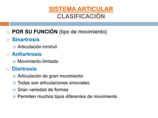 SISTEMA ARTICULAR
                          CLASIFICACIÓN

   POR SU FUNCIÓN (tipo de movimiento)
   Sinartrosis
       Articulación inmóvil
   Anfiartrosis
       Movimiento limitado
   Diartrosis
       Articulación de gran movimiento
       Todas son articulaciones sinoviales
       Gran variedad de formas
       Permiten muchos tipos diferentes de movimiento
 